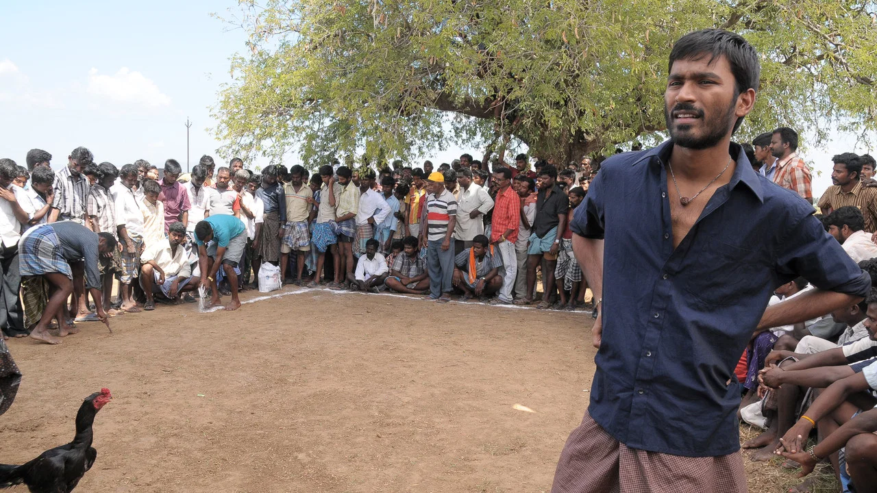ஆடுகளம் - 剧照