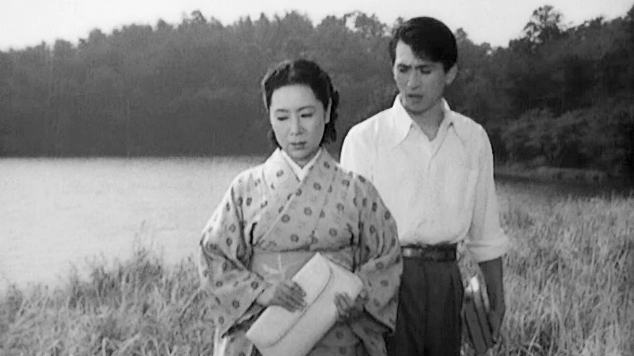 武藏野夫人 - 剧照