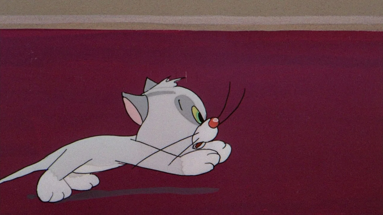 厄运小黑猫 - 剧照