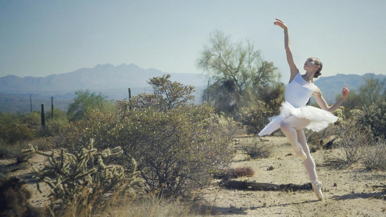 Driven to Dance - 剧照
