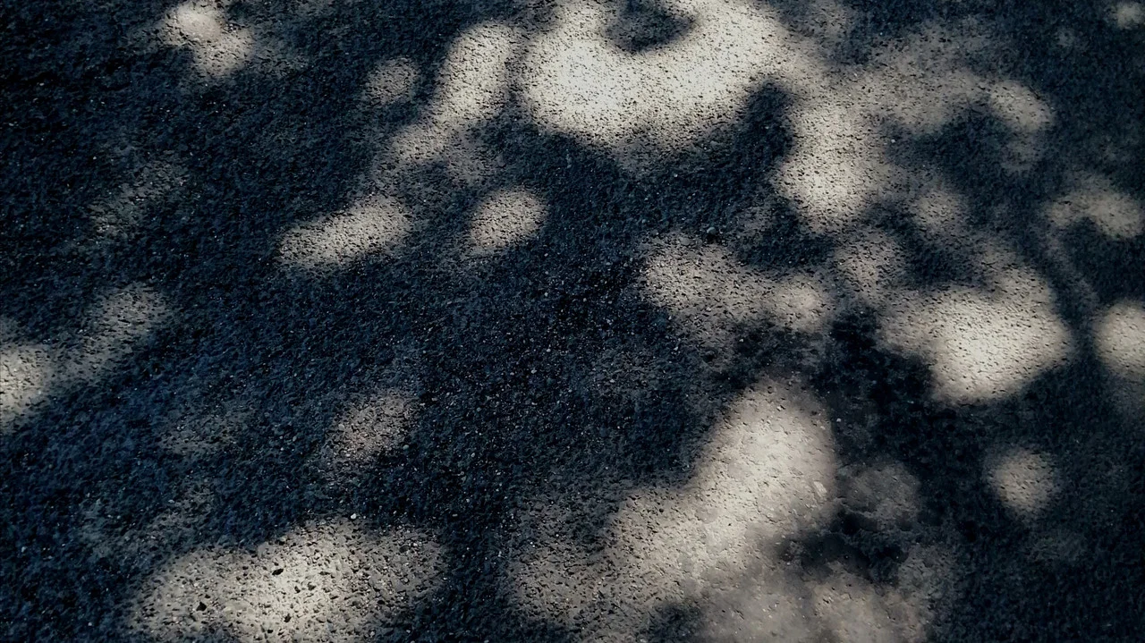 Cha&icirc;nes Dor&eacute;es - 剧照