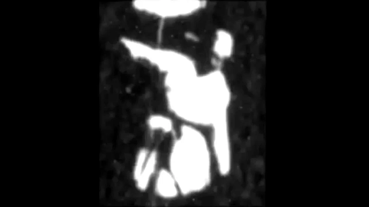 恶作剧2 - 剧照