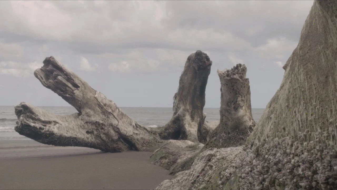 Saved From The Waters - 剧照