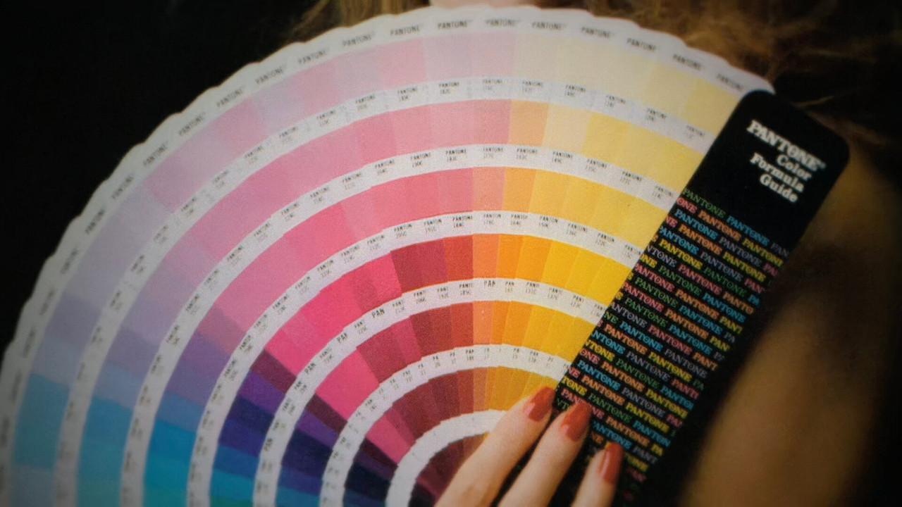 The King of Color - 剧照