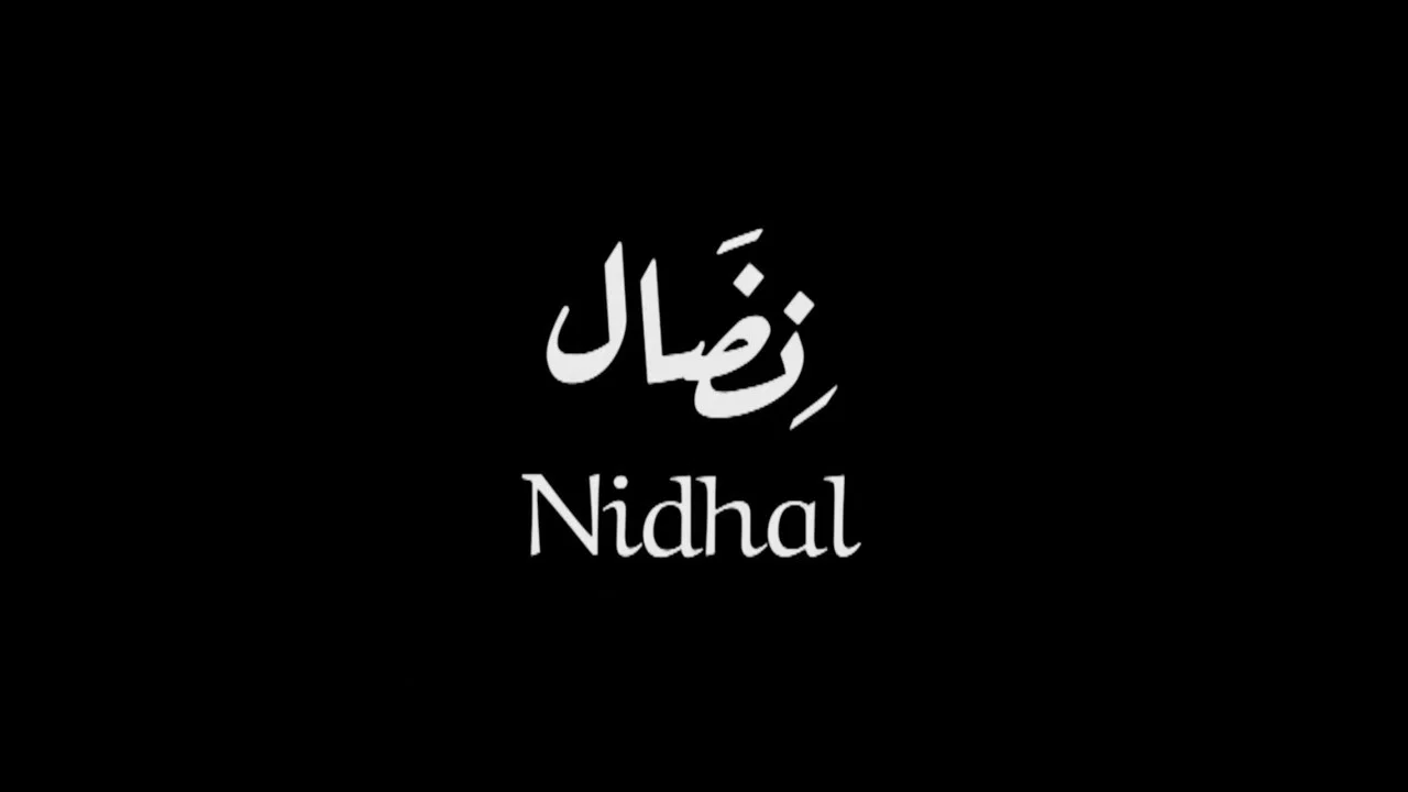 نضال - 剧照