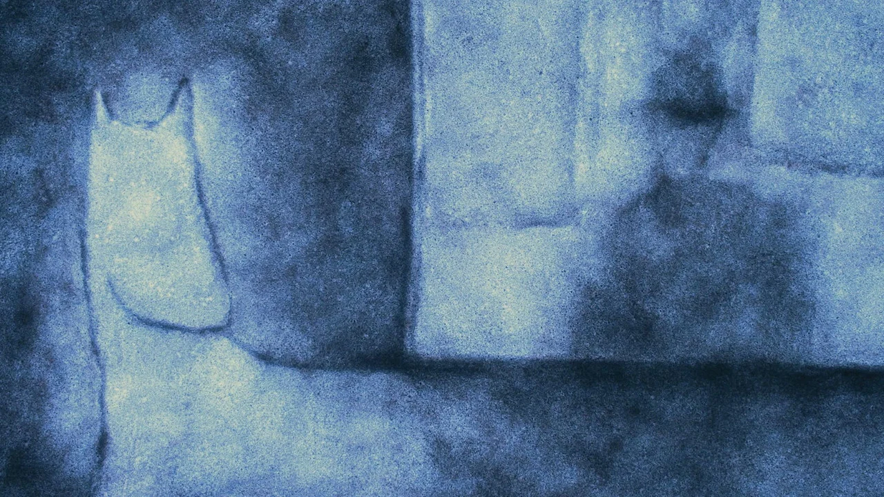 White Horse - 剧照