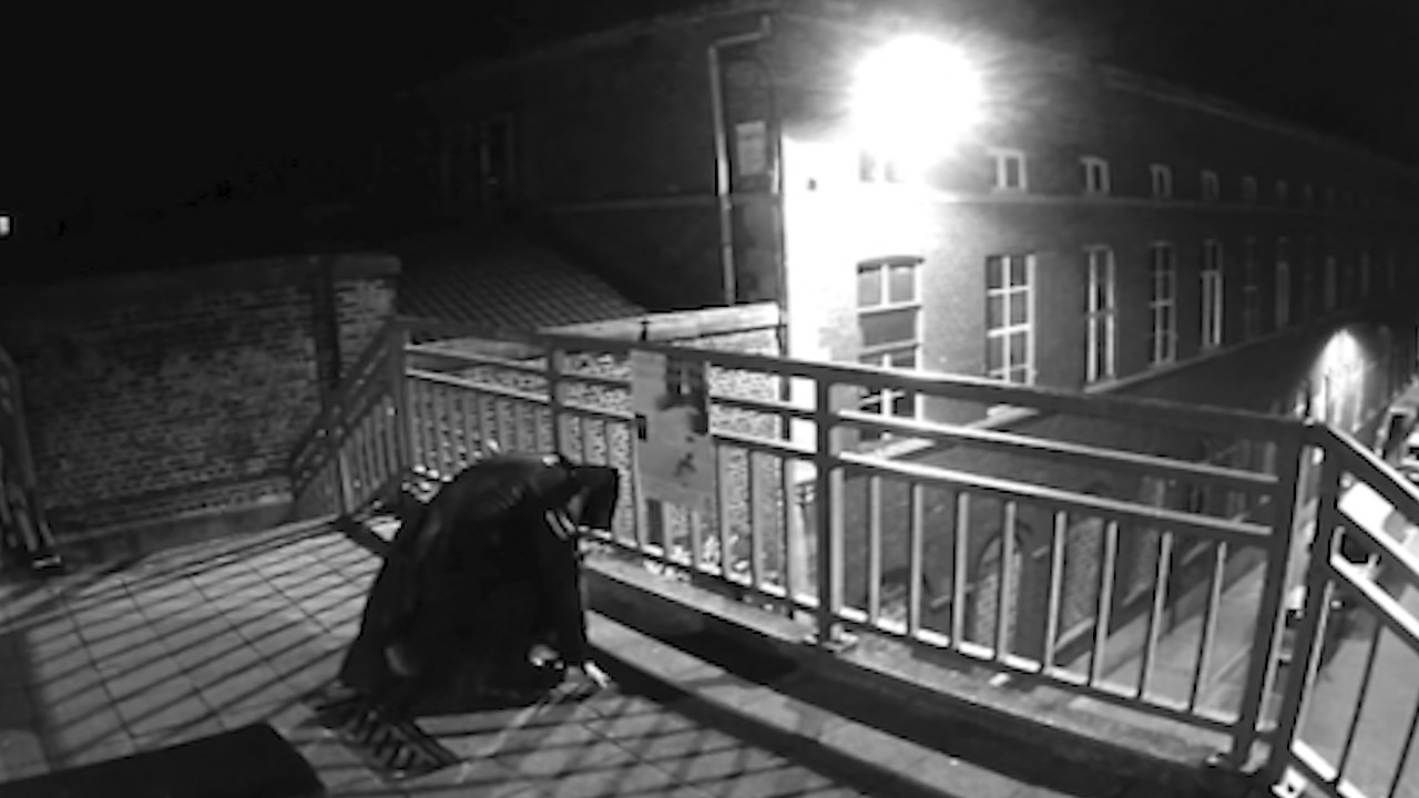 The Nightstalker Case - 剧照