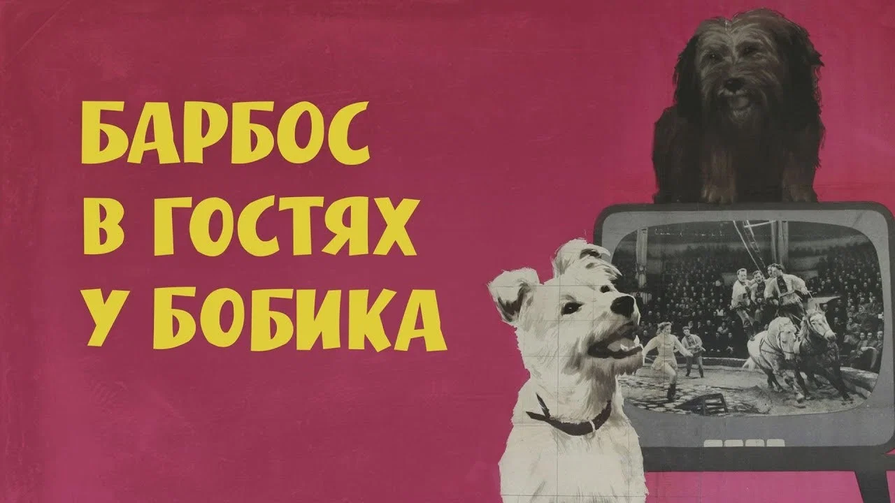 Барбос в гостях у Бобика - 剧照