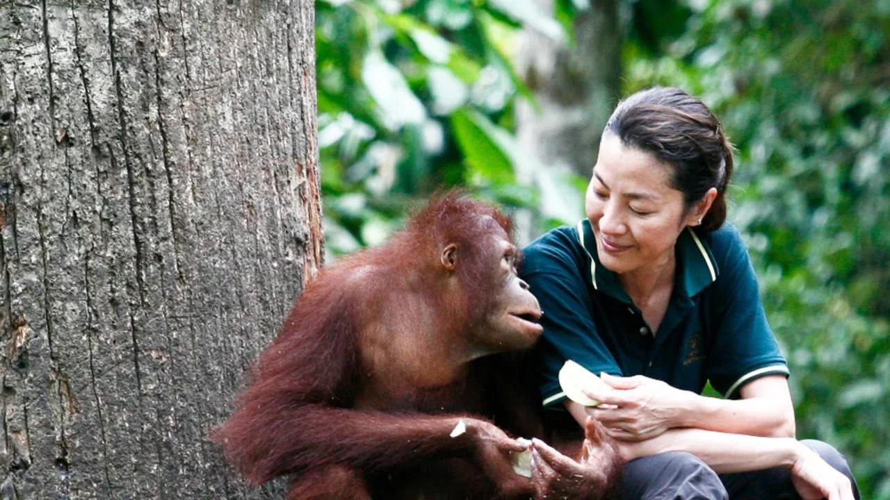 Among the Great Apes with Michelle Yeoh - 剧照