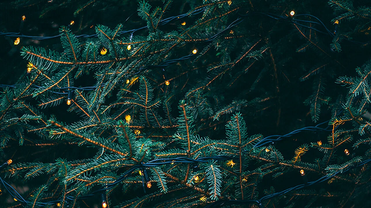 Christmas Lights - 剧照
