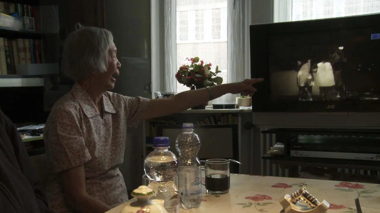Golden Memories (Petite Histoire of Indonesian Cinema) - 剧照