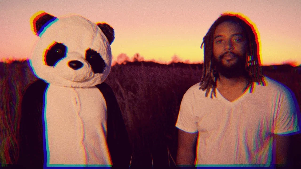 Panda Bear It - 剧照