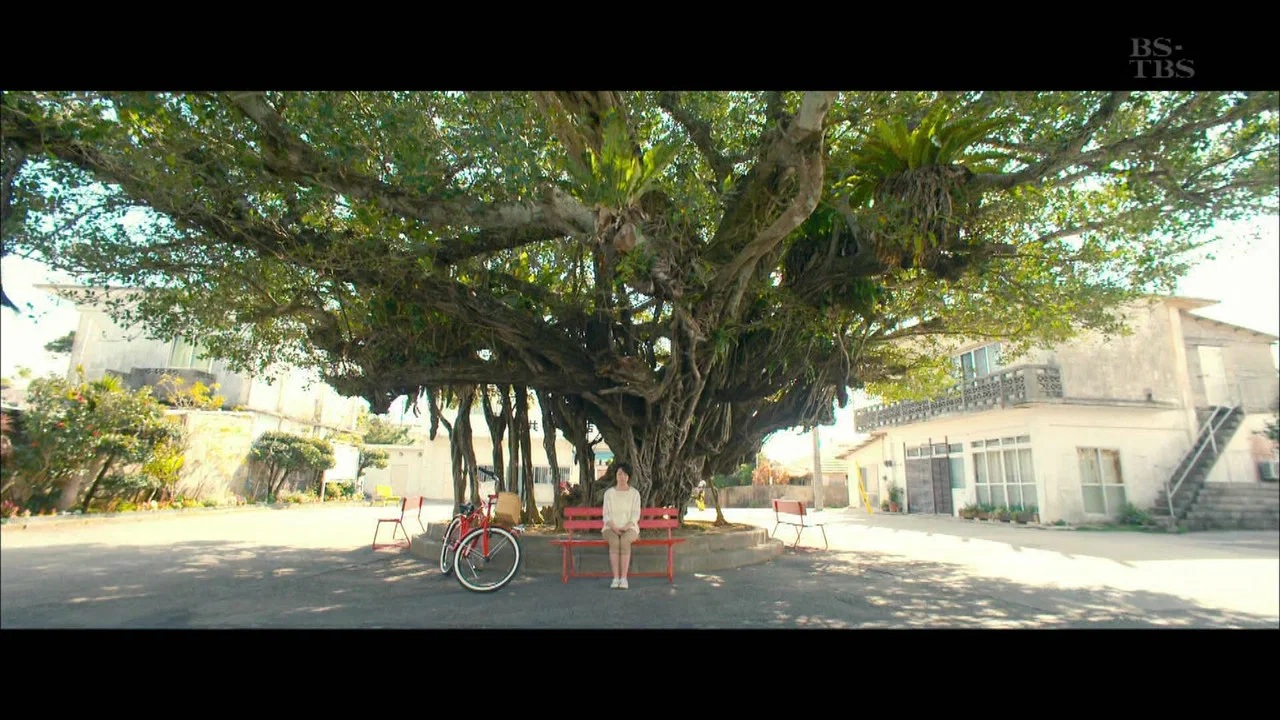 榕树食堂之恋 - 剧照