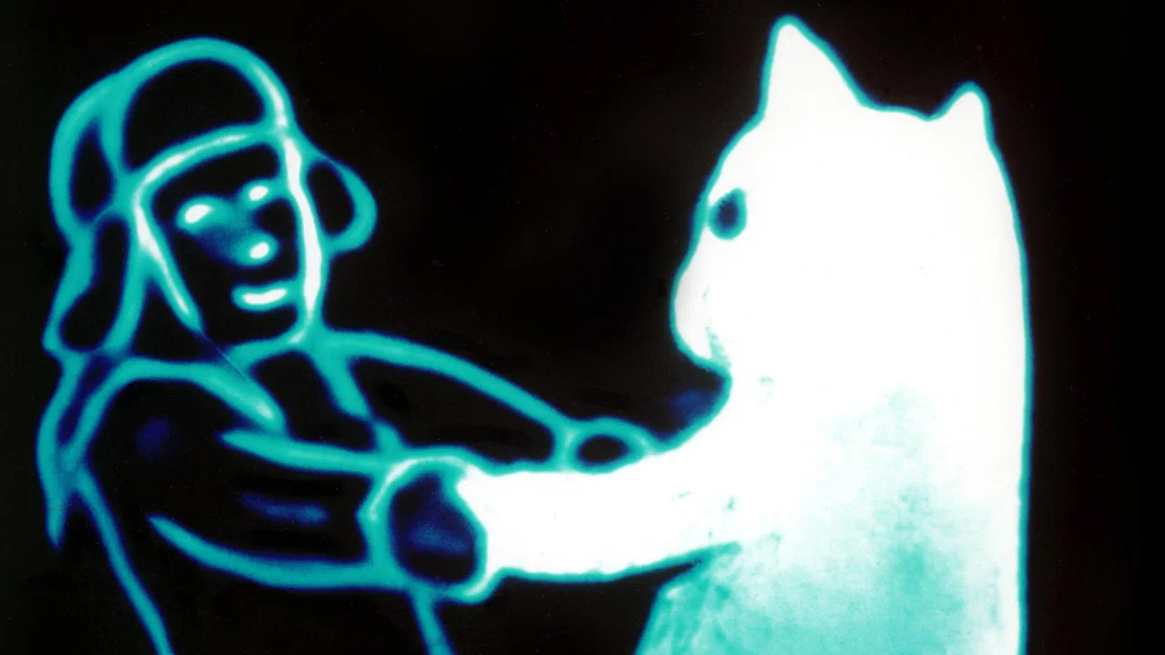 Snow Cat - 剧照