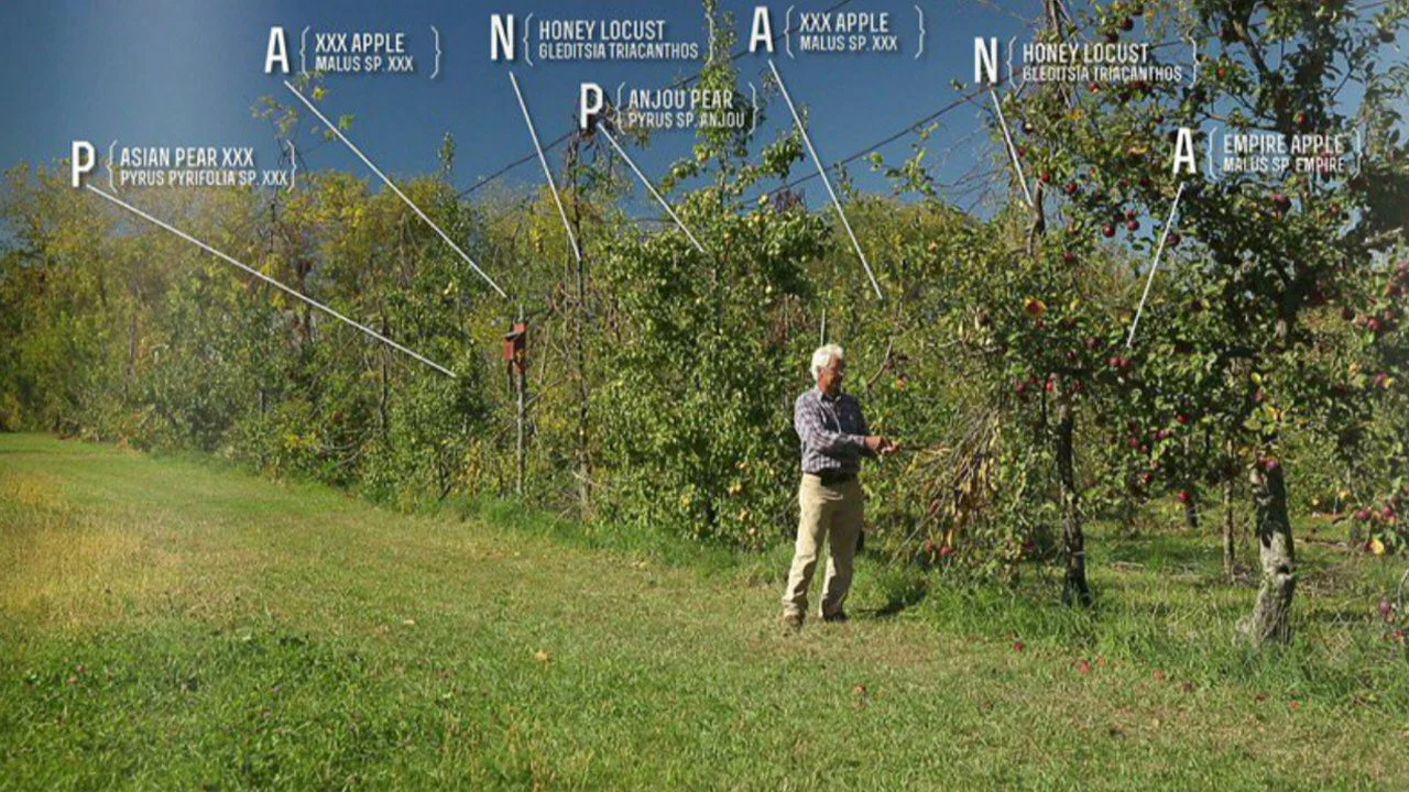 The Permaculture Orchard: Beyond Organic - 剧照