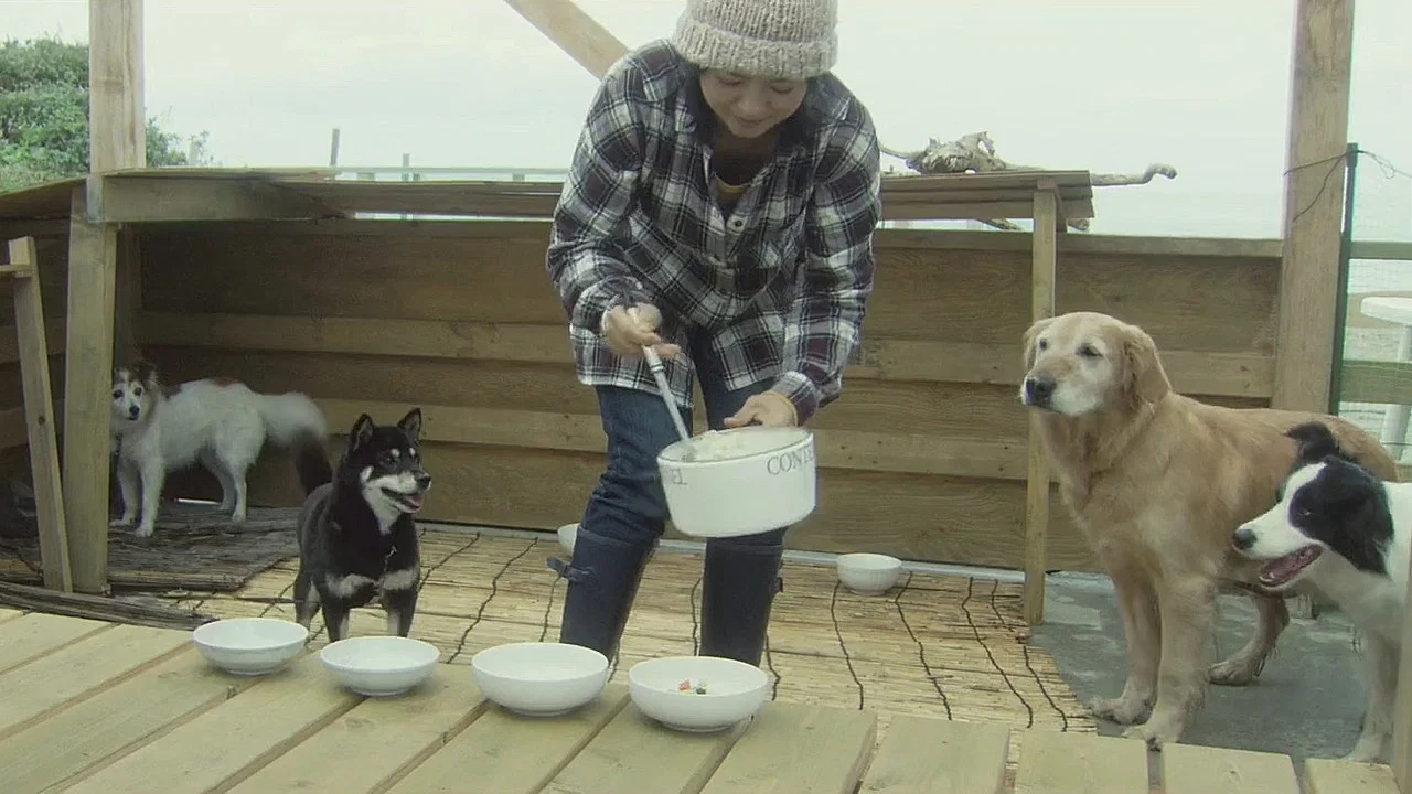 秋田犬蓬夫 - 剧照