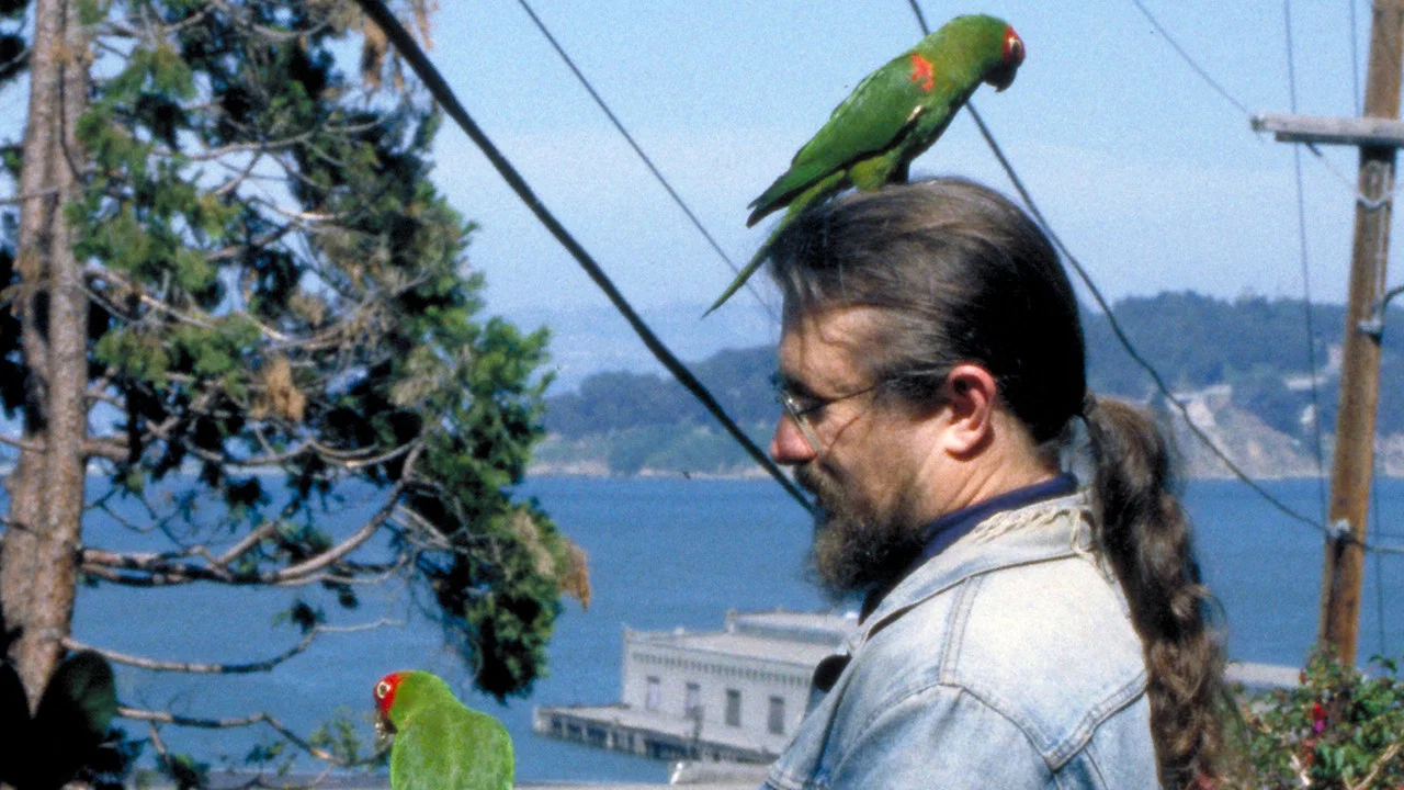 The Wild Parrots of Telegraph Hill - 剧照