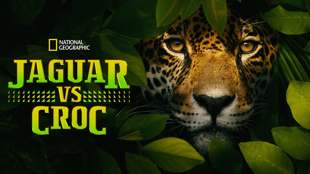 Jaguar vs. Krokodille - 剧照