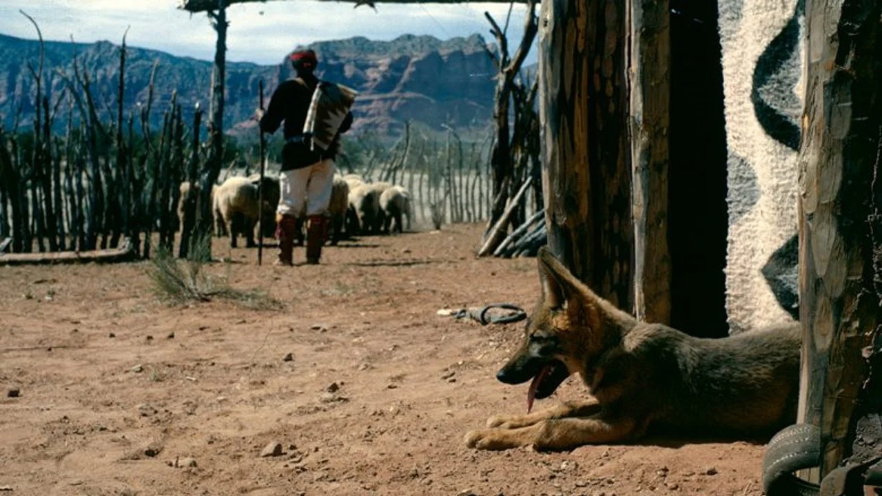 Concho, the Coyote Who Wasn't - 剧照
