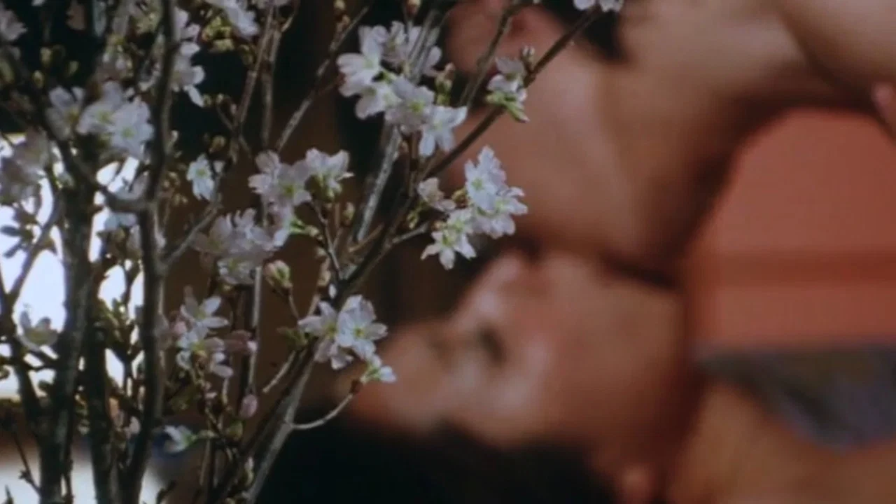 牛奶女佣 - 剧照