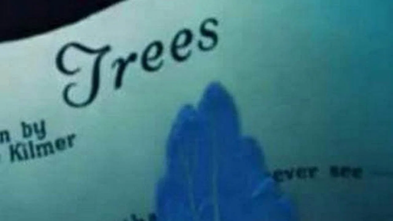 Trees - 剧照