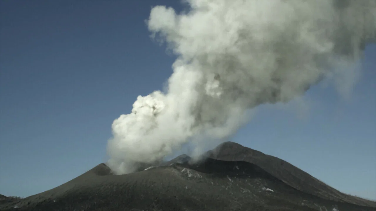 Survivre aux catastrophes, les strat&eacute;gies de la nature - 剧照