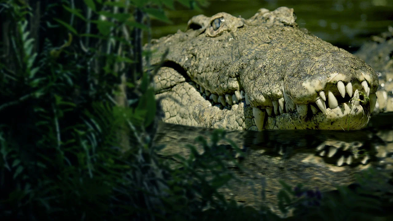 The Croc That Ate Jaws - 剧照