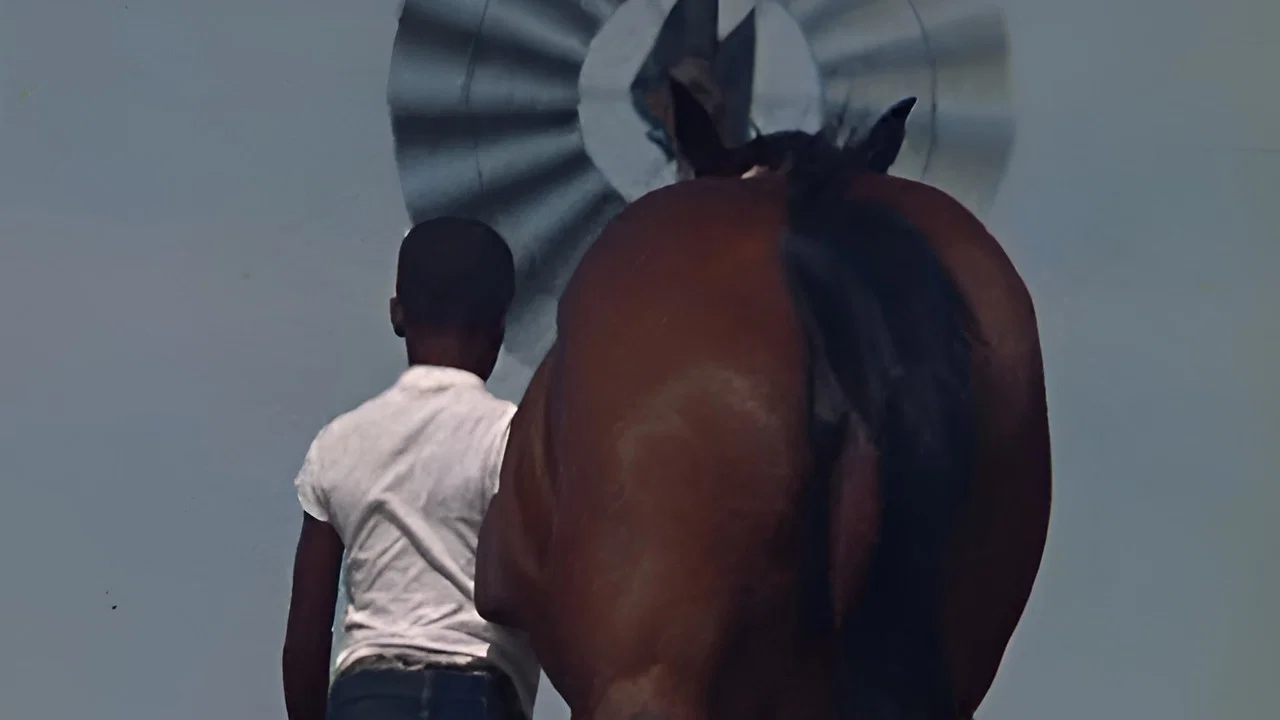 The Horse - 剧照
