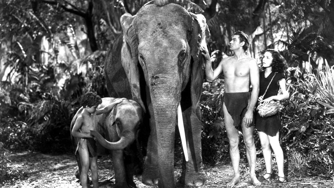Tarzan Finds a Son! - 剧照