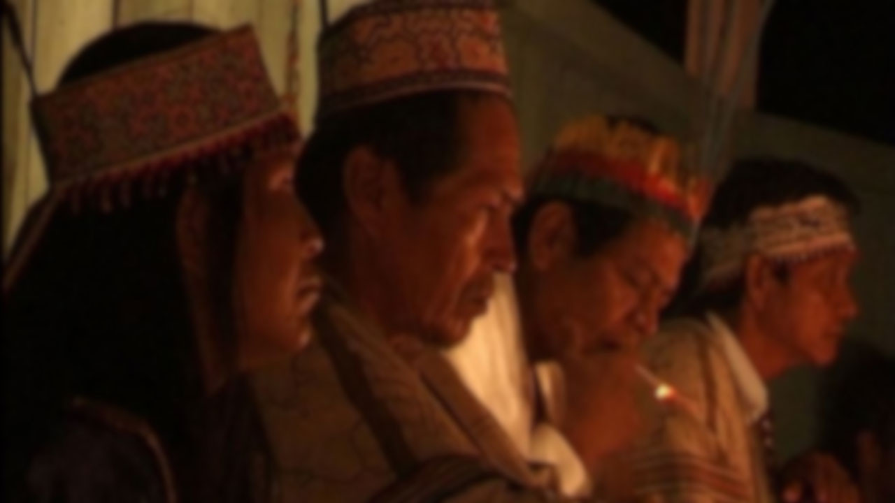 L'Ayahuasca, le serpent et moi - 剧照