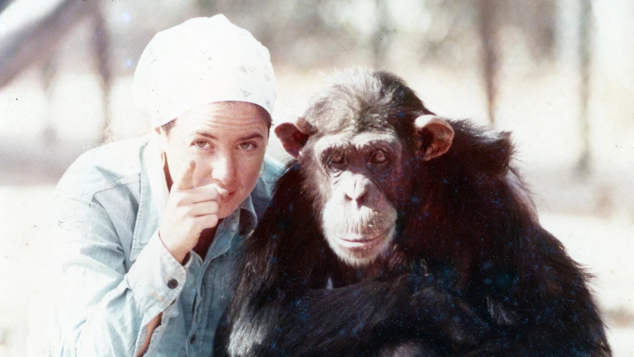 Lucy the Human Chimp - 剧照