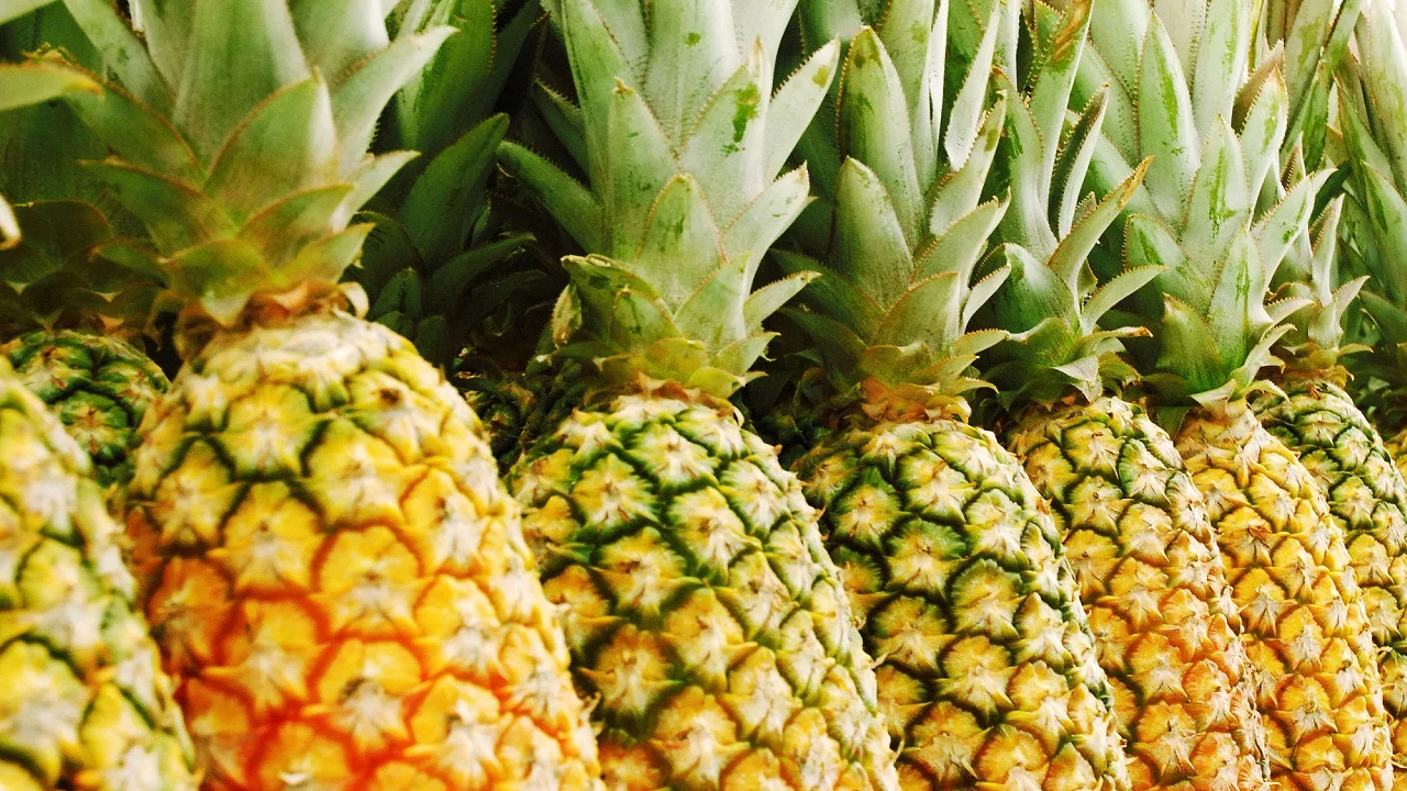 The Pineapple Story - 剧照