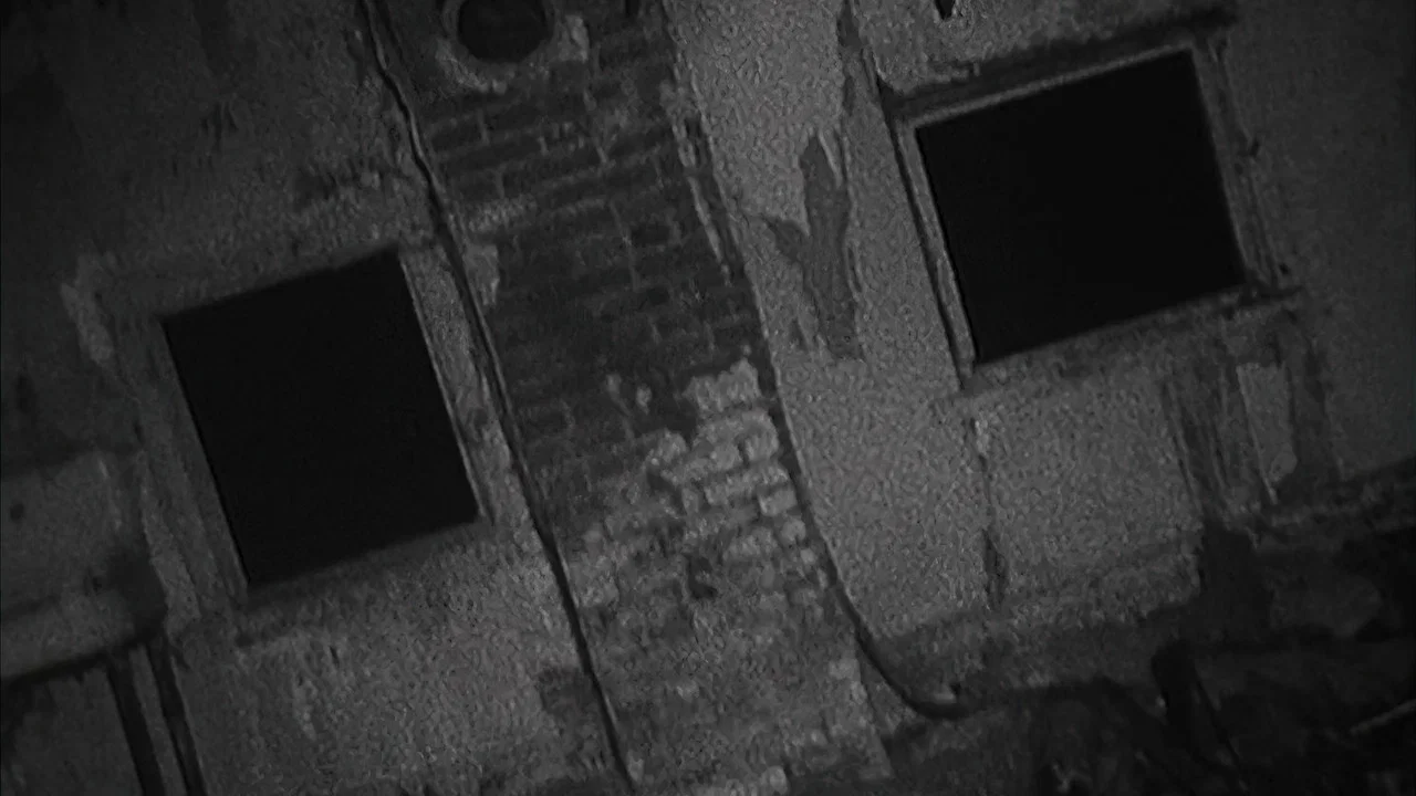 Shadow of the Blair Witch - 剧照