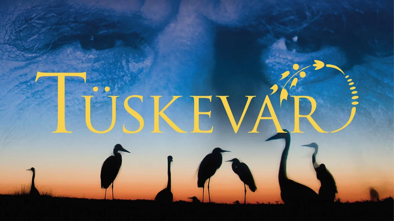 T&uuml;skev&aacute;r - 剧照
