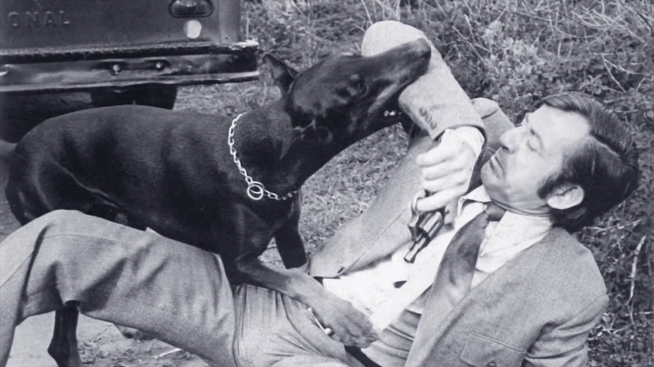 The Daring Dobermans - 剧照