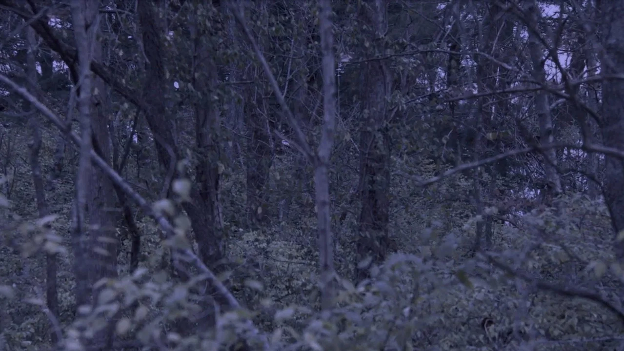 Sometime, Somewhere, in Bellwood - 剧照