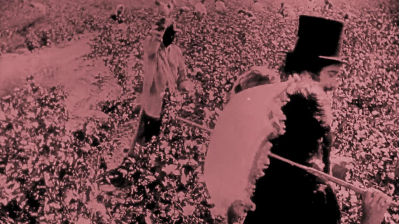 Birth of a Nation - 剧照