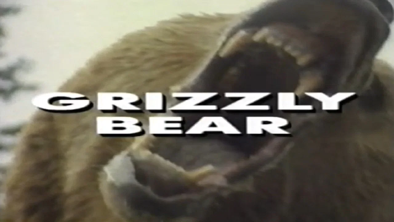 Predators of the Wild: Grizzly Bear - 剧照