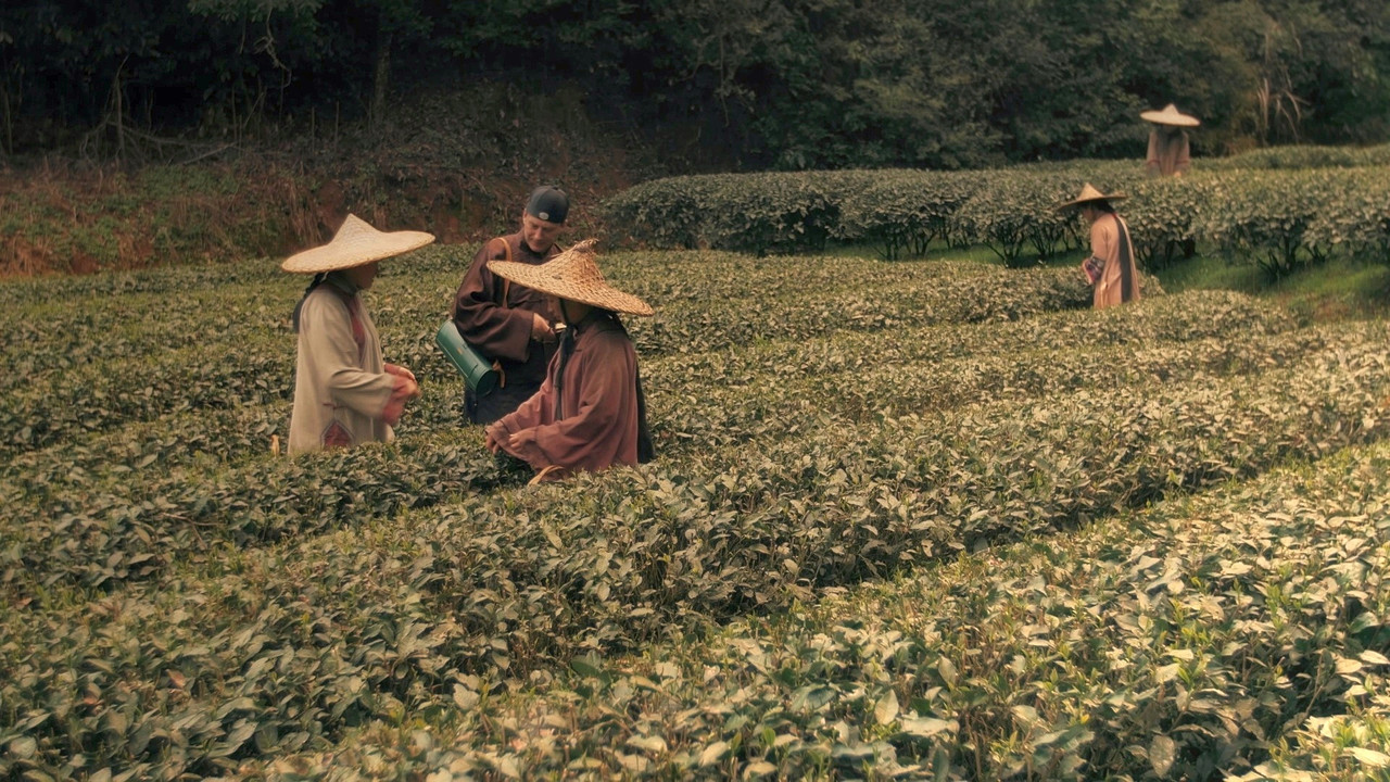 Les aventures de Robert Fortune ou comment le th&eacute; fut vole aux Chinois - 剧照