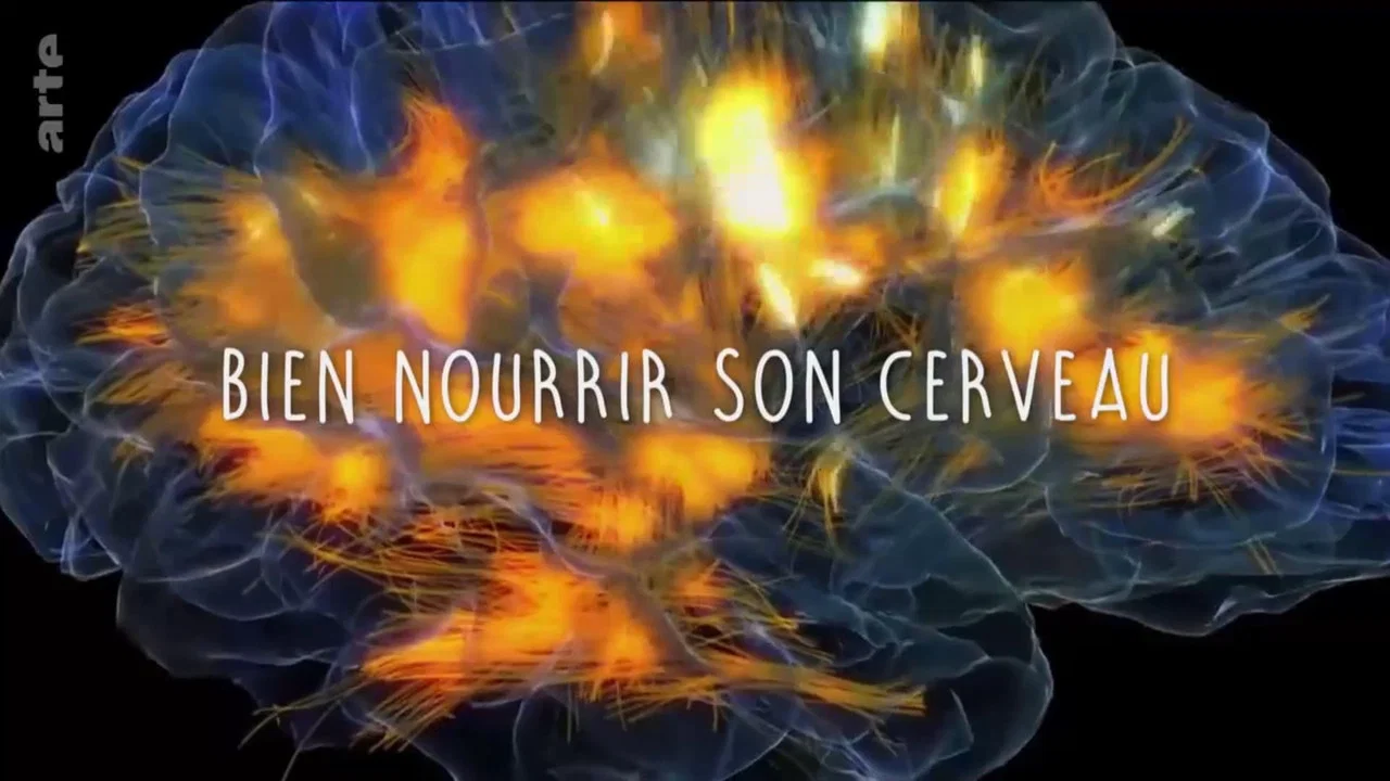 Bien nourrir son cerveau - 剧照
