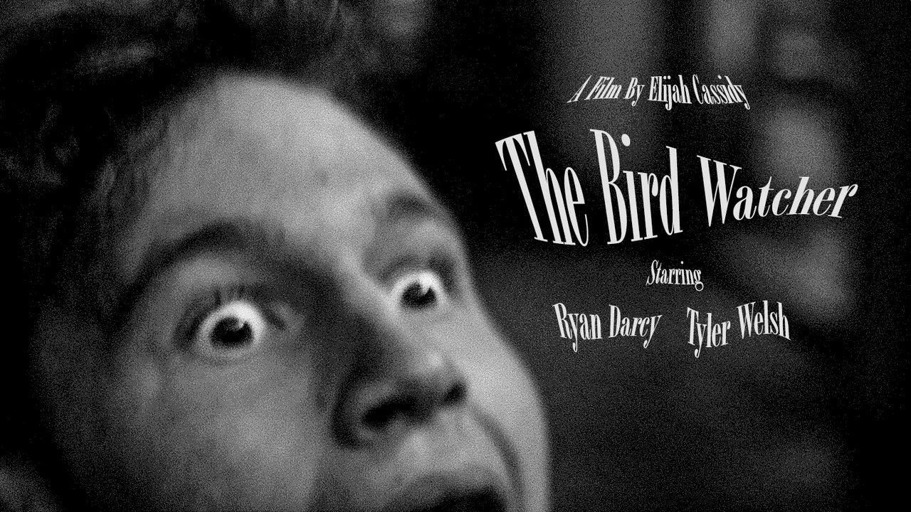 The Bird Watcher - 剧照