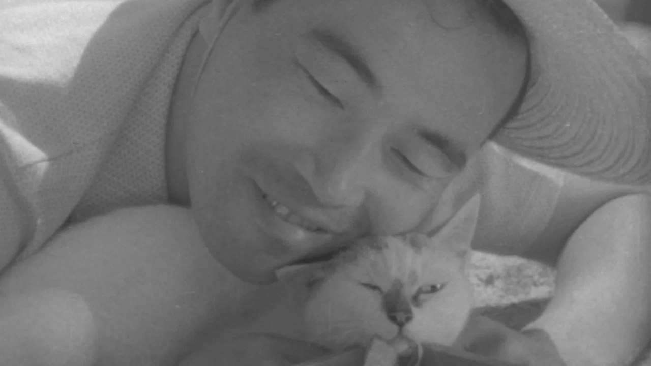 猫と庄造と二人のをんな - 剧照