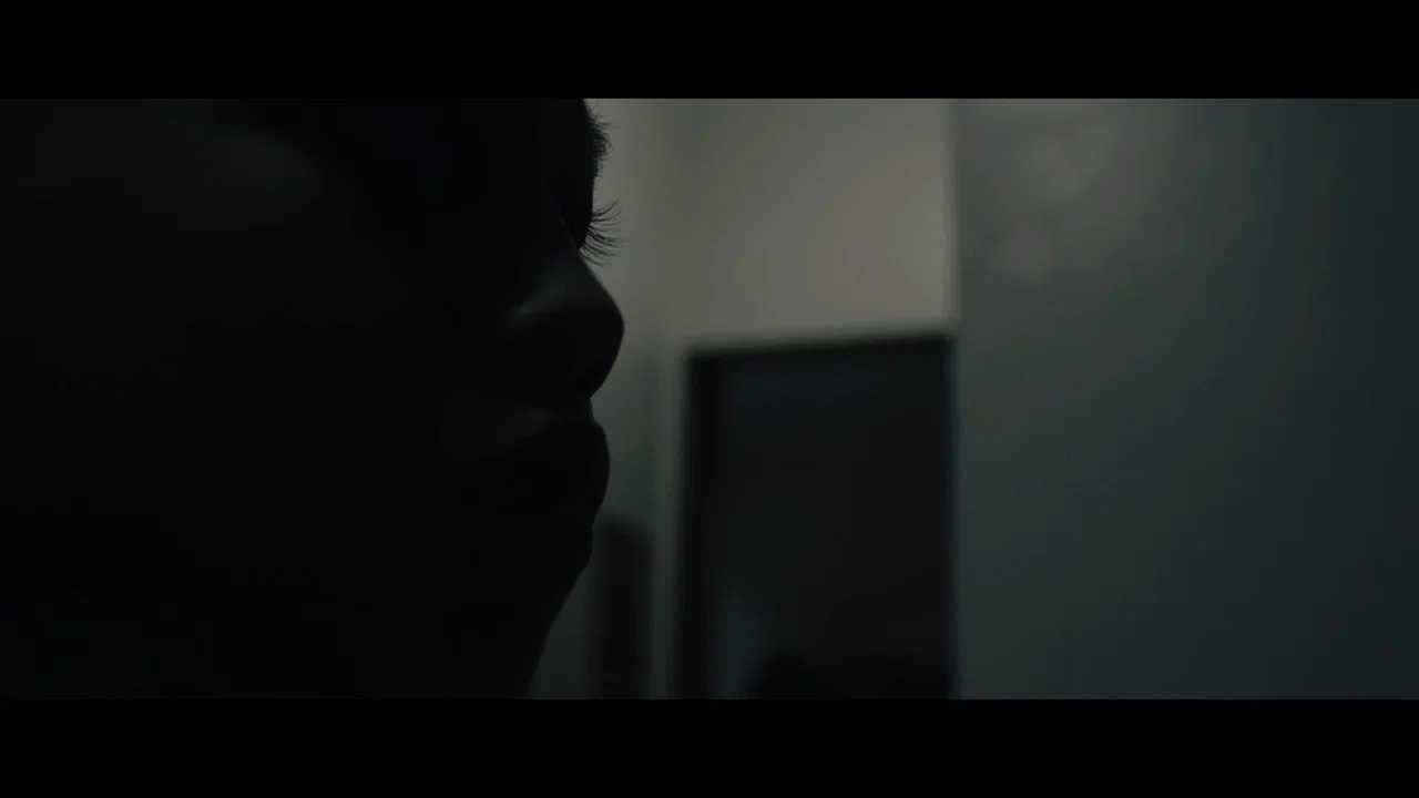 O SIL&Ecirc;NCIO DA CASA - 剧照