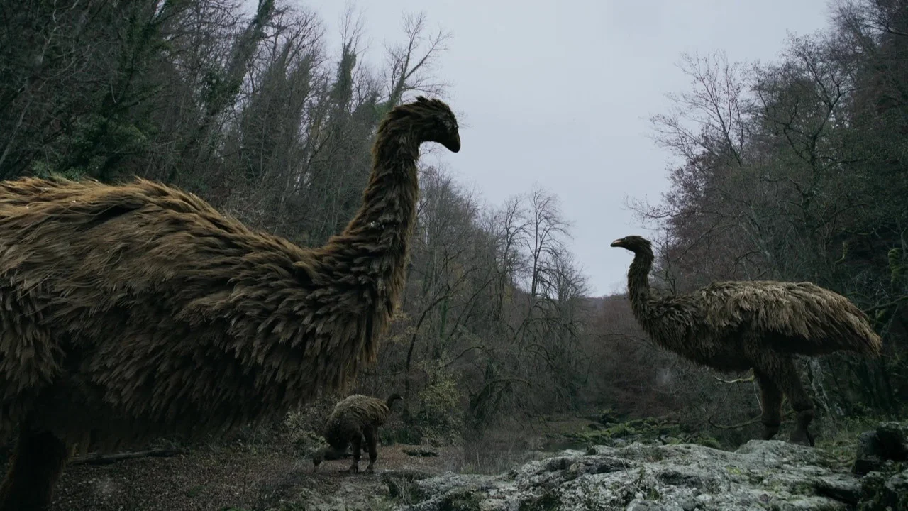 Le myst&egrave;re des oiseaux g&eacute;ants - 剧照