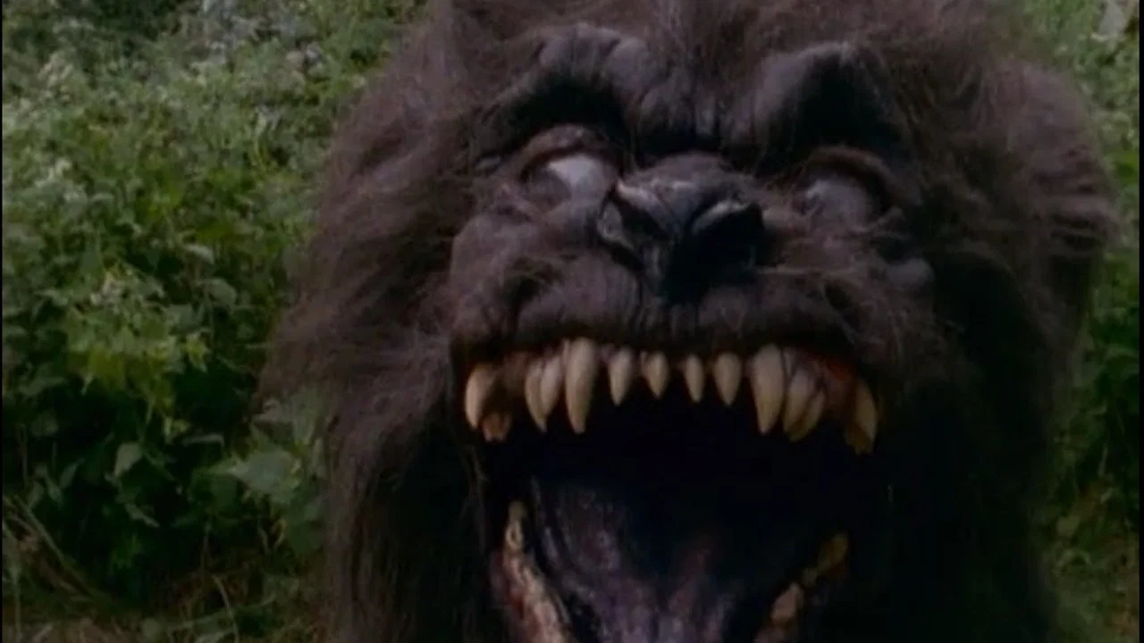 Goosebumps: Welcome to Camp Nightmare - 剧照