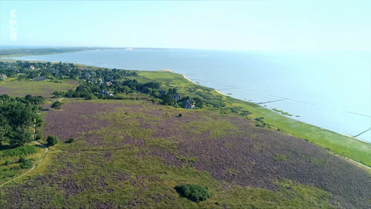 Sylt - Wellen, Wind und Watt - 剧照