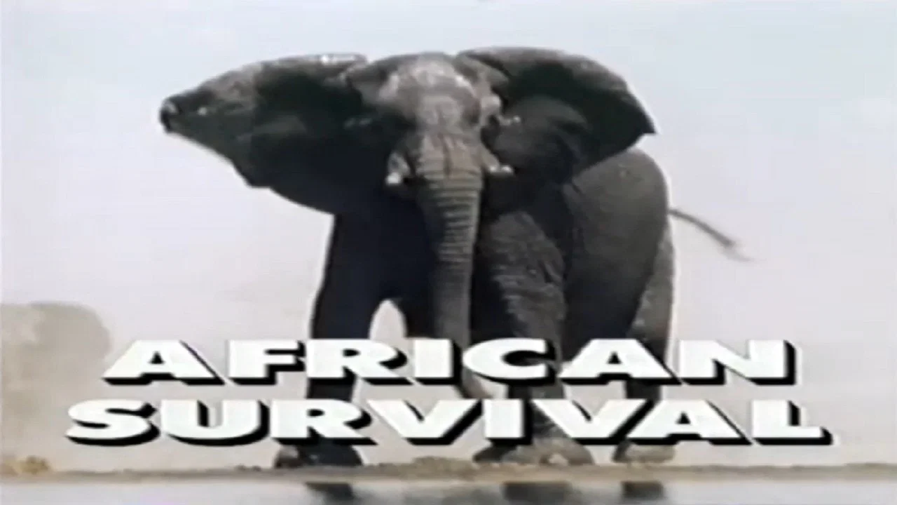 Predators of the Wild: African Survival - 剧照