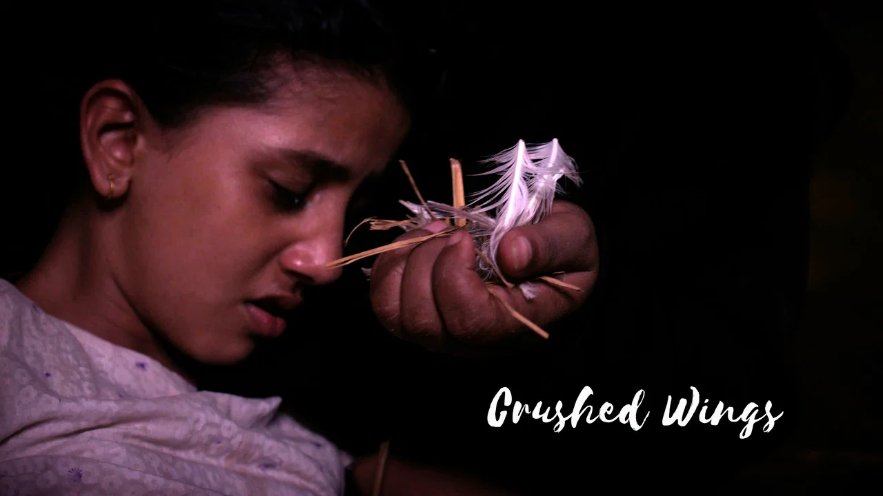 Crushed Wings - 剧照
