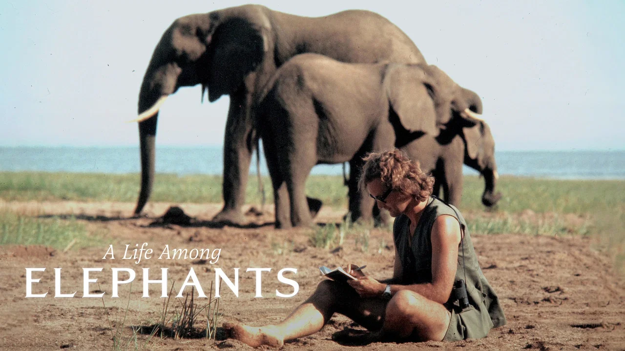A Life Among Elephants - 剧照