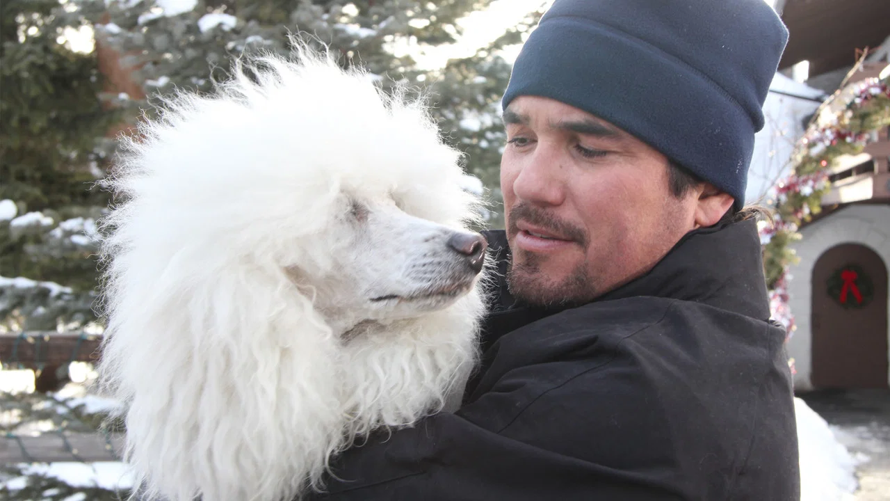 The Dog Who Saved Christmas Vacation - 剧照